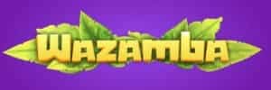 Blaze com